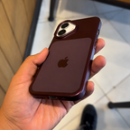 Plum Shadow Case